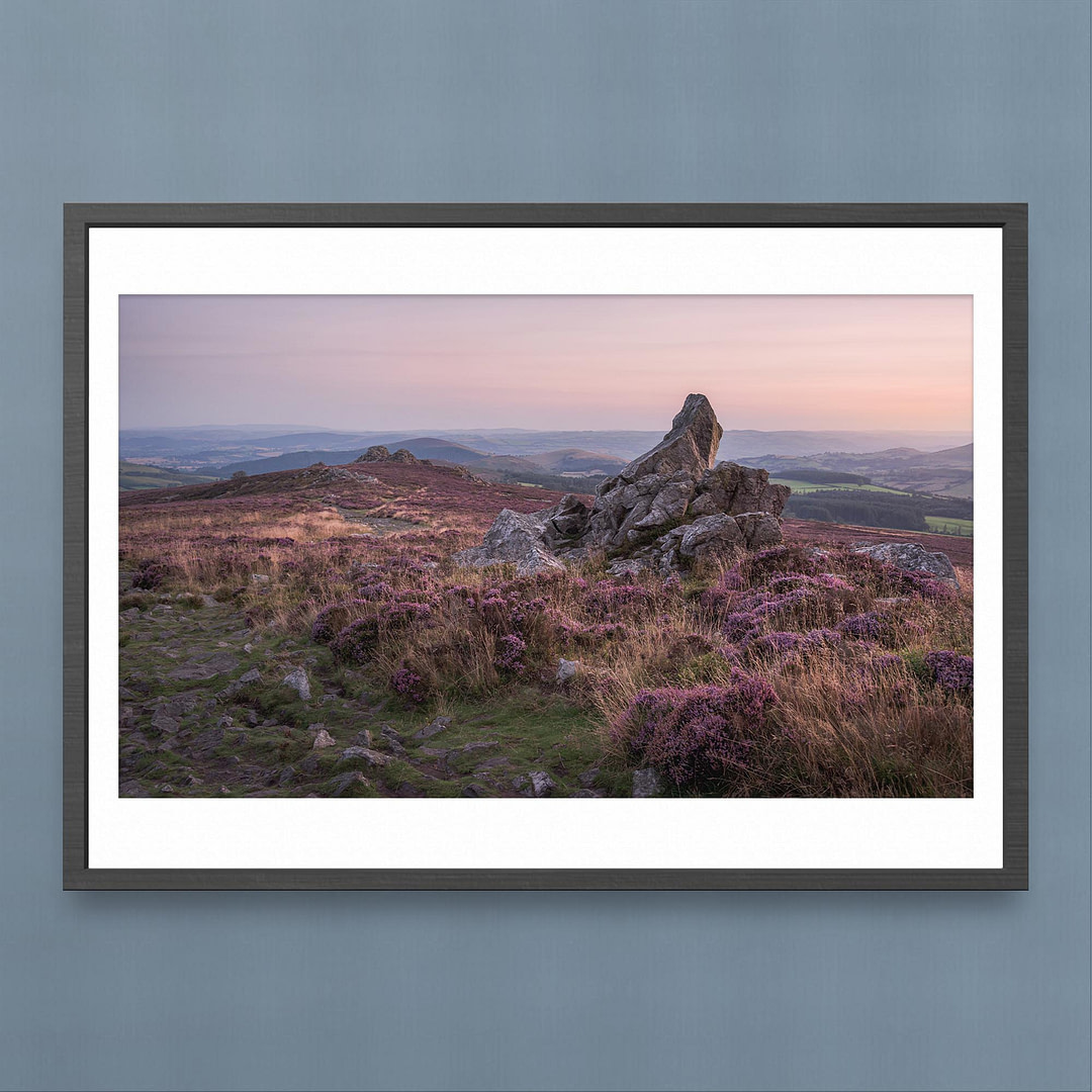 Stiperstones Ridge Sunset Photography Print - Heather Surrounding Iconic Rock Outcrop