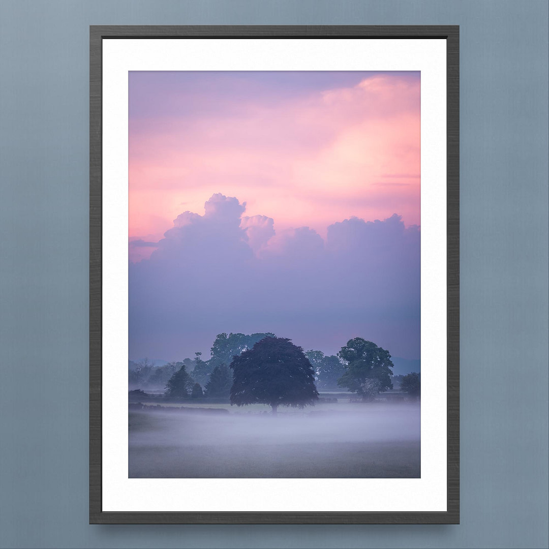 Copper Beech Tree Sunset - Misty Field - Landscape Print - Black Frame Mockup