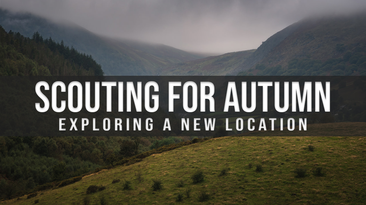 Scouting for Autumn, Gilfach Nature Reserve Vlog