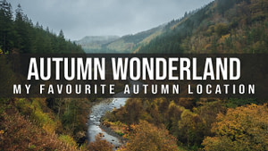 My Favourite Autumn Photo Location, Hafod Estate Vlog