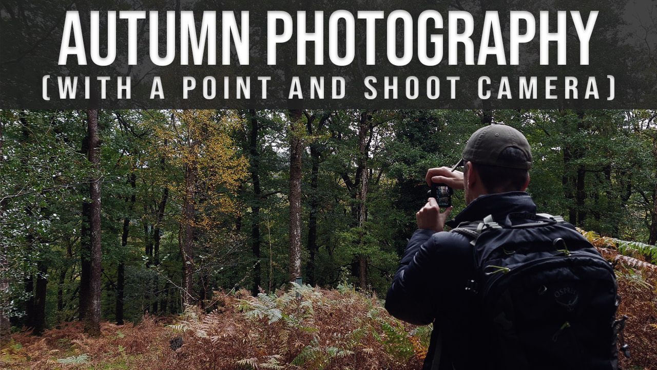 Autumn Photography Sony RX100 III, Coed Ganllwyd Vlog