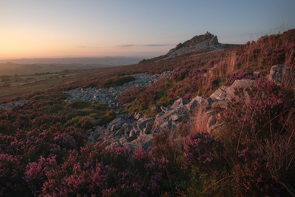 Evening sun on heather at Stiperstones, My Locations for Motivation