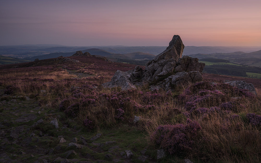 Stiperstones rock outcrops surrounded by heather, Shropshire